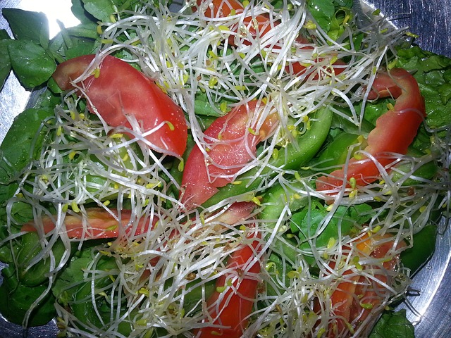 zelená alfalfa